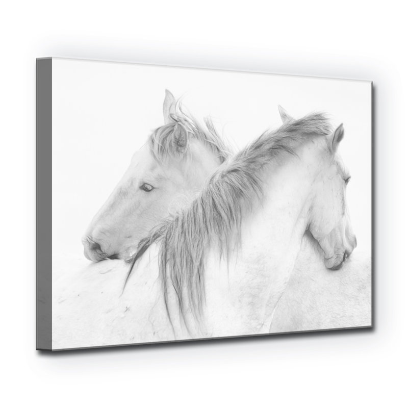 Chevaux - reproduction de photo sur toile, H 16 po x l 20 po, Toile tendue, Sans cadre