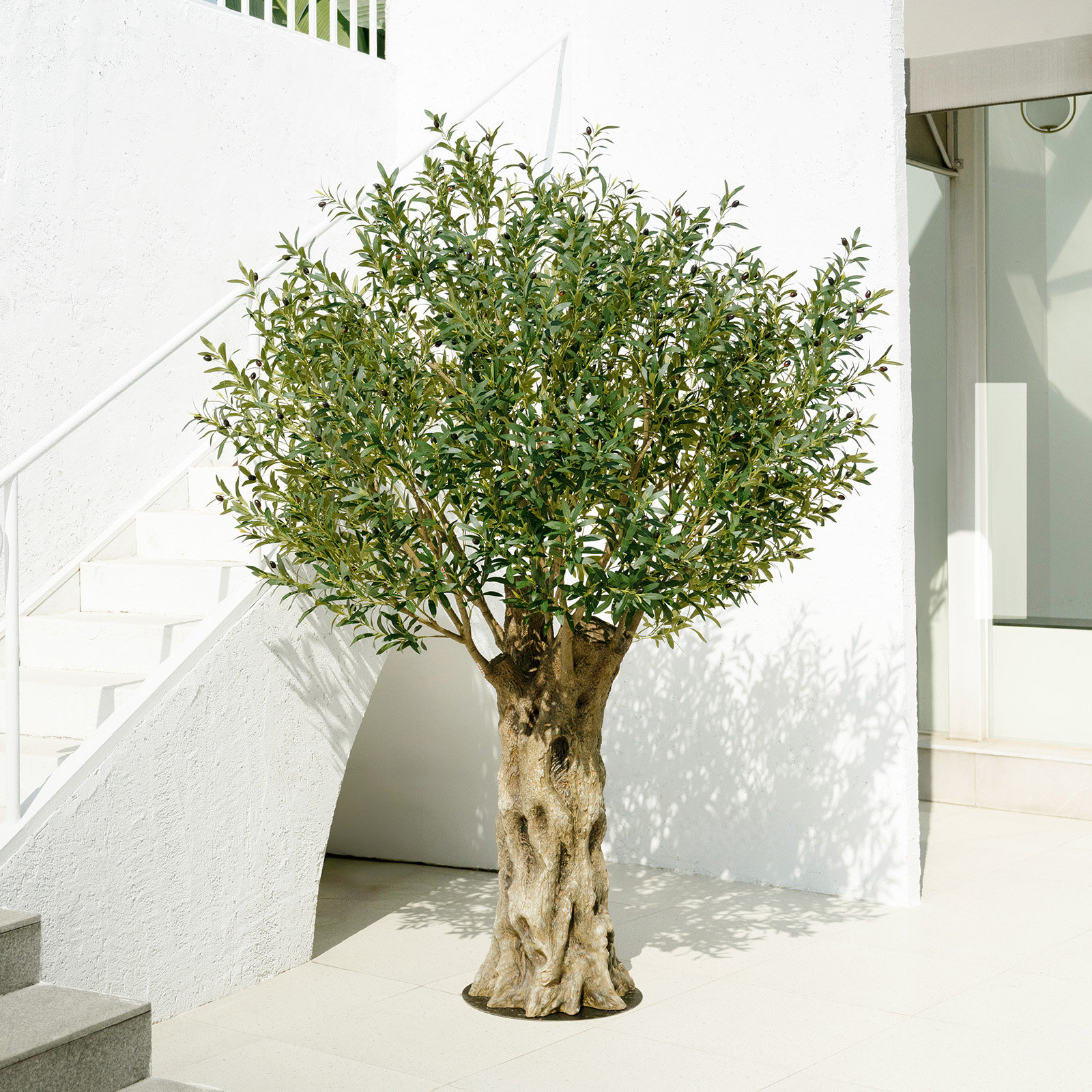 Adcock 96" Olive Tree
