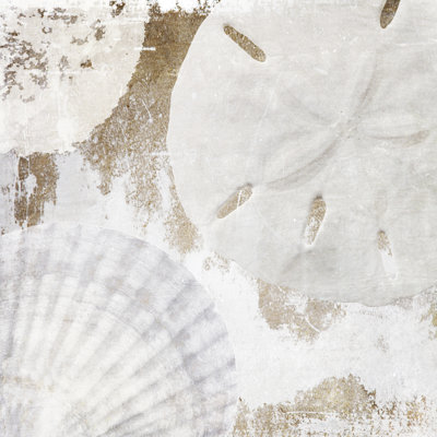 Coquillages blancs I