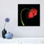 «Little Red Lantern» par Magda Indigo - Estampe numérique sur toile tendue avec châssis-18515852-74381170-74381171