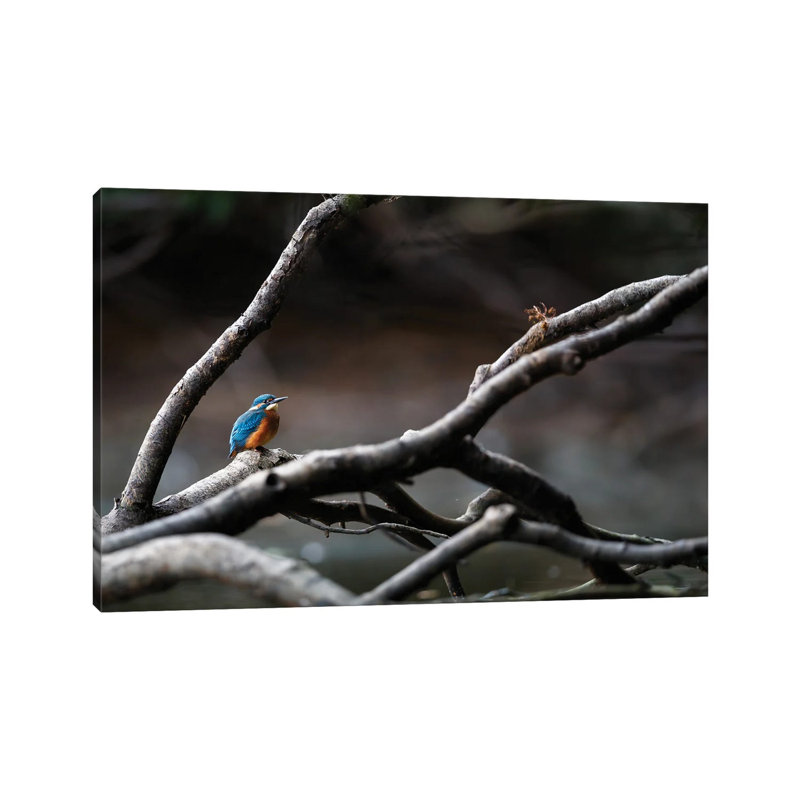 Kingfisher II 1 Piece Wrapped Canvas Wall Art, 66.04 cm H x 45.72 cm W x 3.175 cm D