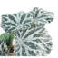 50cm Faux Plant