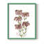 Watercolor Blooms II, reproduction encadrée - bois massif-1097533393-1097533391