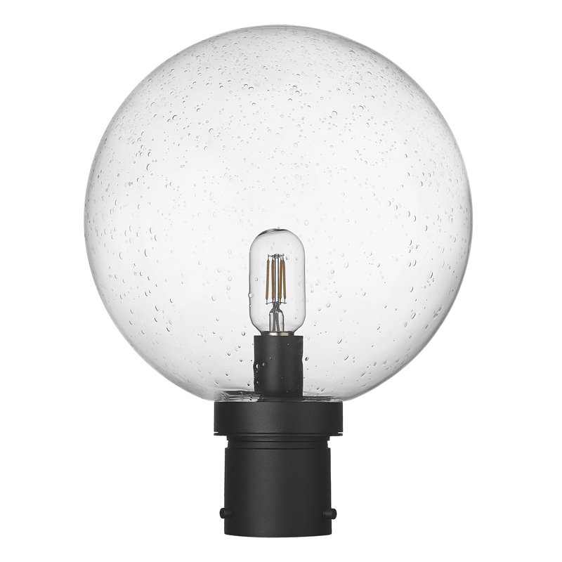Heber Lantern Head, Seeded