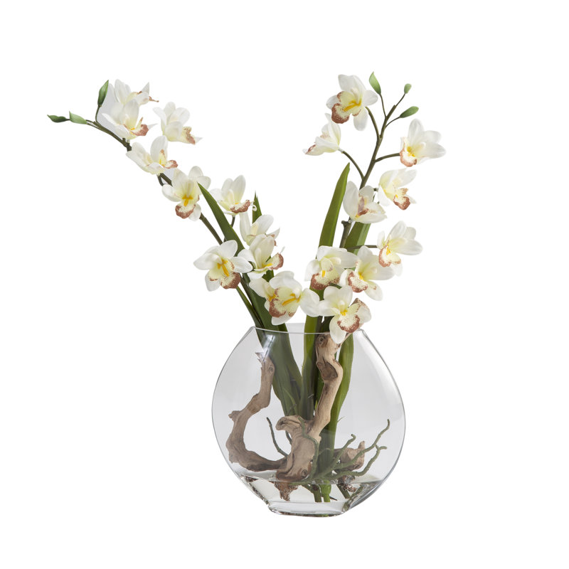 Orchid Arrangement in Vase
