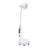 61.4" Arched Floor Lamp Infrared Ligh