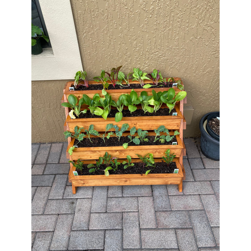 Jardin vertical en bois Therese