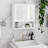 Bathroom Wall Cabinet With Doule Mirror Doors And Shelvs