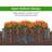 Over Ground Raised Garden Bed, Large Long Planter Box For Outdoor, Tool-Free Assembly-2046267908