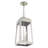 Antionetta 3 - Light LED Outdoor Hanging Lantern Outdoor Lighting-1944704615-1944704612