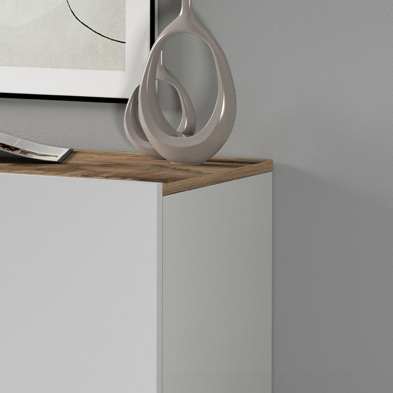 Ryung 2 -Door 1 -Shelf Storage Cabinet, White/Brown