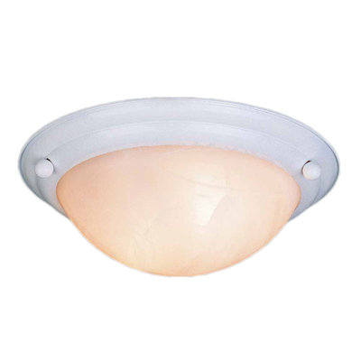  Plafonnier encastré fluorescent blanc H 4,75 po x l 15,5 po Lunar
