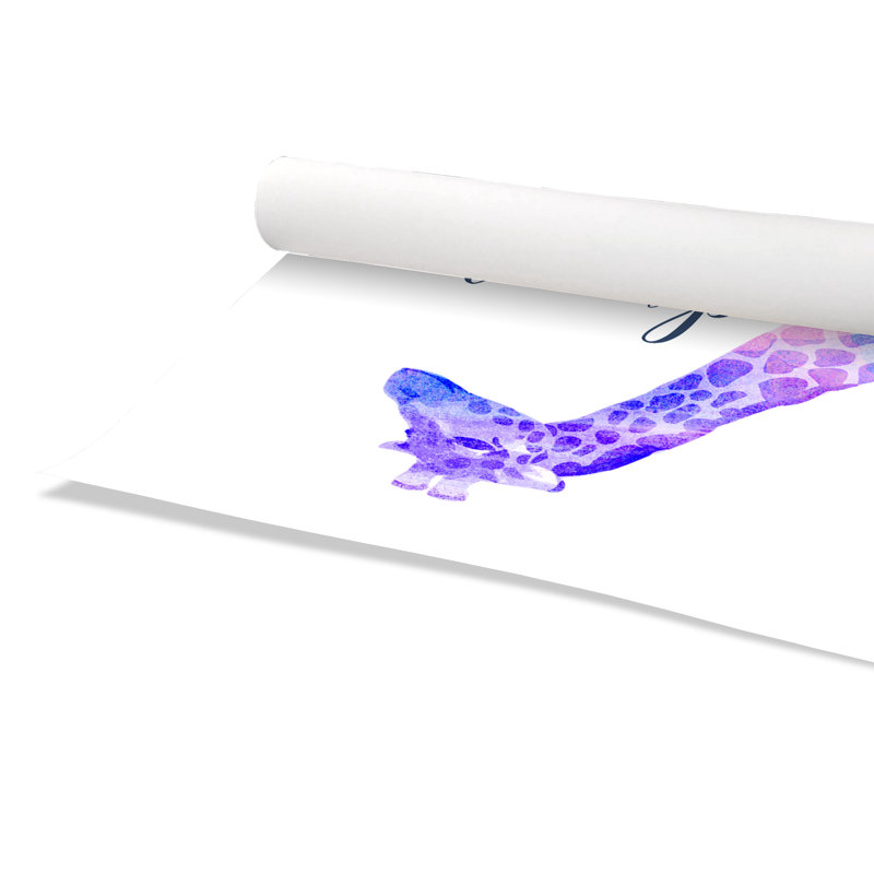 Impression sur papier Rolled Dream Big, H 24 po x l 20 po x P 1 po