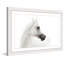 Single Picture Frame Print-172992068