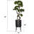 Houston 60.5'' Faux Bonsai Tree in Planter