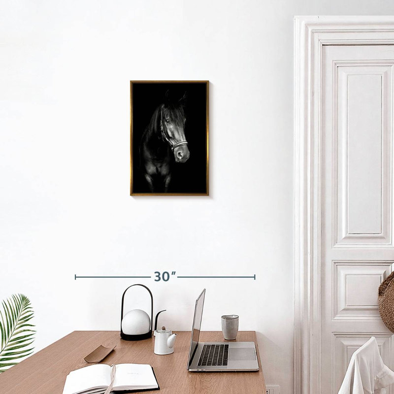 Cheval noir dans le noir, Cadre flottant doré, 13 po x 19 po