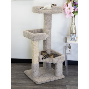 Arbre à chat