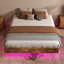 Cowen Floating Bed Frame with LED Lights Metal Slats Underbed Storage Space No Box Spring-1556098083-1605508652