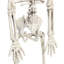 Lampkins Halloween Decorative Accent
