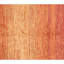 Tapis rouge et orange noué à la main de haute qualité Gabbeh