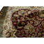Wool Oriental Area Rug in Cream
