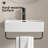 White Vessel Sink