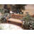 Quinlan 59 " W Teak Solid Wood Outdoor Garden Bench