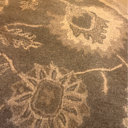 Charlton Home® Sneyd Park Hand Tufted Wool Floral Indoor Rug & Reviews ...