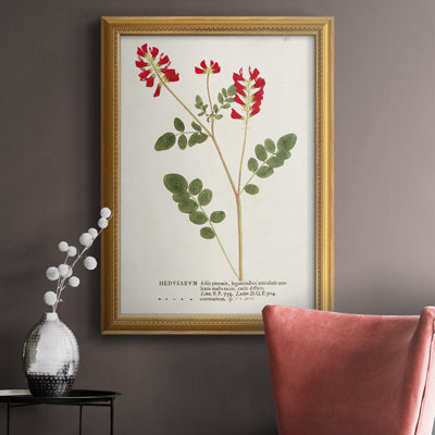 Nature imprimée Botanicals III, toile encadrée de qualité supérieure - prête à être accrochée