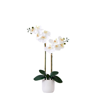 Arrangement floral Willoughby