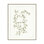 Leafy Vines 5 Print by Studio L57 Affinity