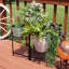 Harrisonville 3 Piece Plant Stand Set