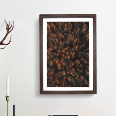 Autumn Forest in Bloom - Picture Frame Painting Print