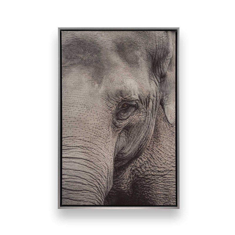 «Wise Gaze», reproduction sur toile, Cadre flottant en chrome poli, H 48,75 po x l 32,75 po x P 1,75 po