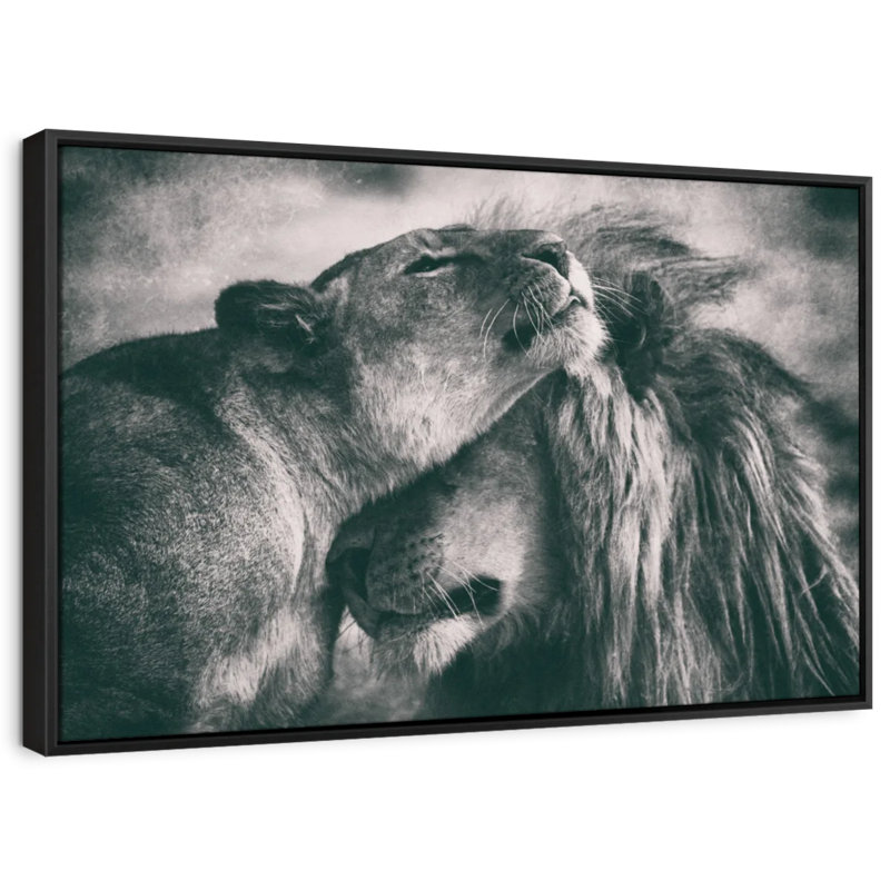Animal «Amour monochrome», H 9 po x l 13 po