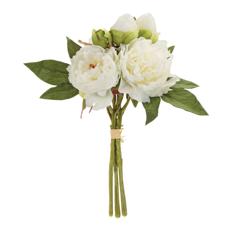 Ensemble de pivoines florales, Blanc