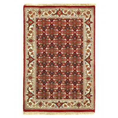 Dwania Hand Knotted Area Rug in Red