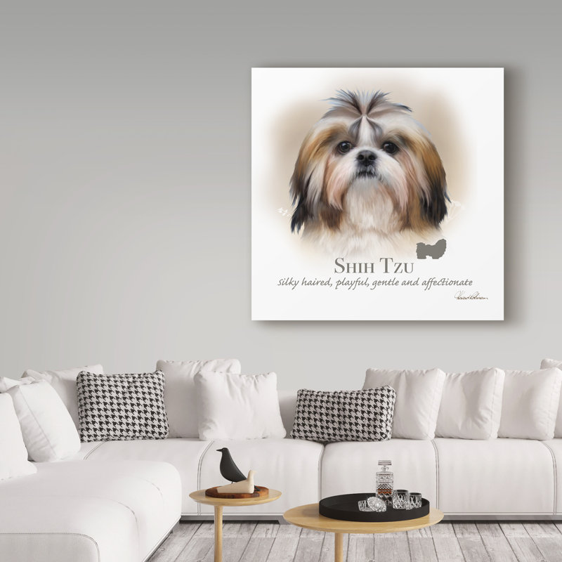 « shih tzu », reproduction d’impression sur toile tendue, H 18 po x l 18 po x P 2 po