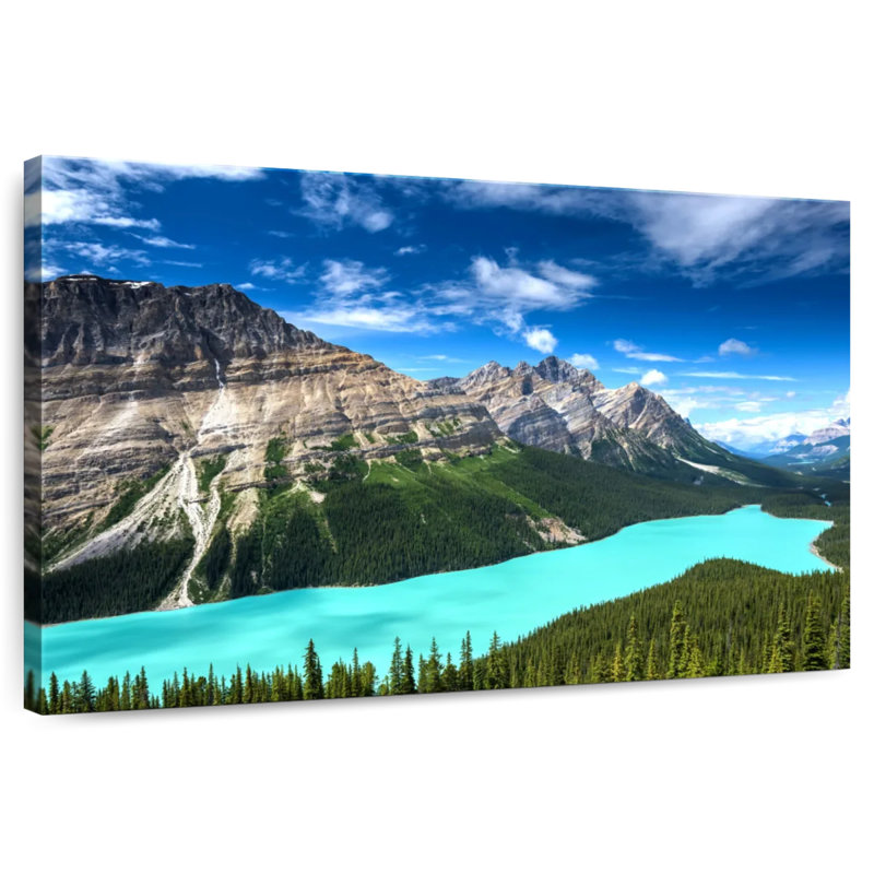 Alvord turquoise, lac Peyto, H 32 po x l 48 po