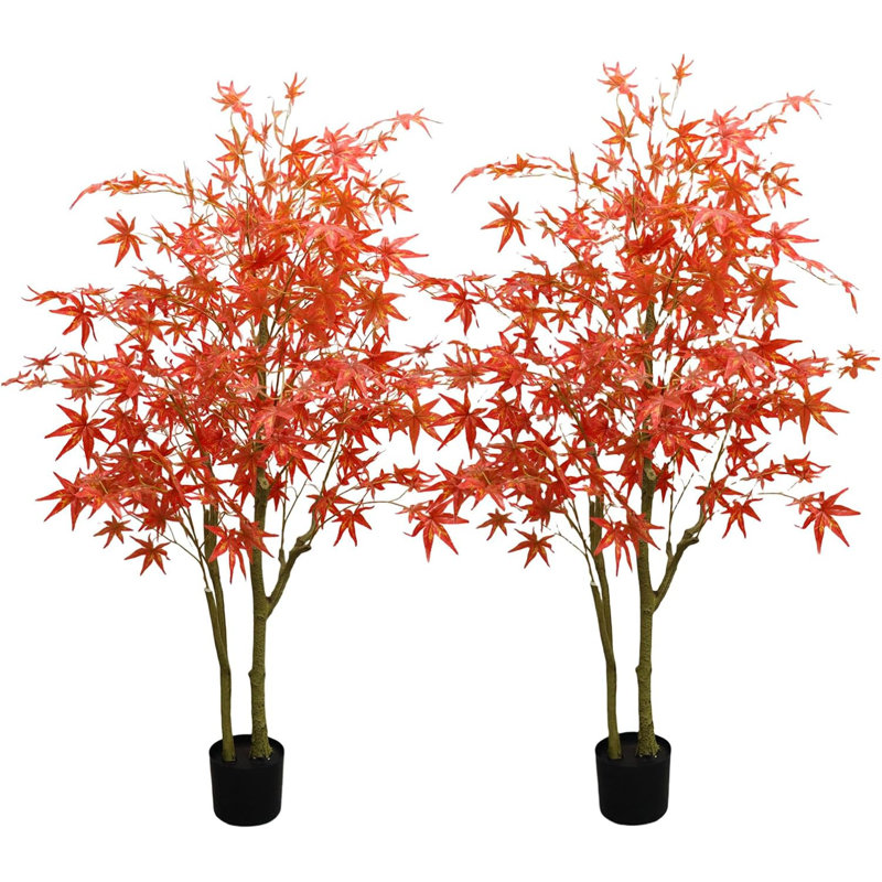 61.02cm Plant