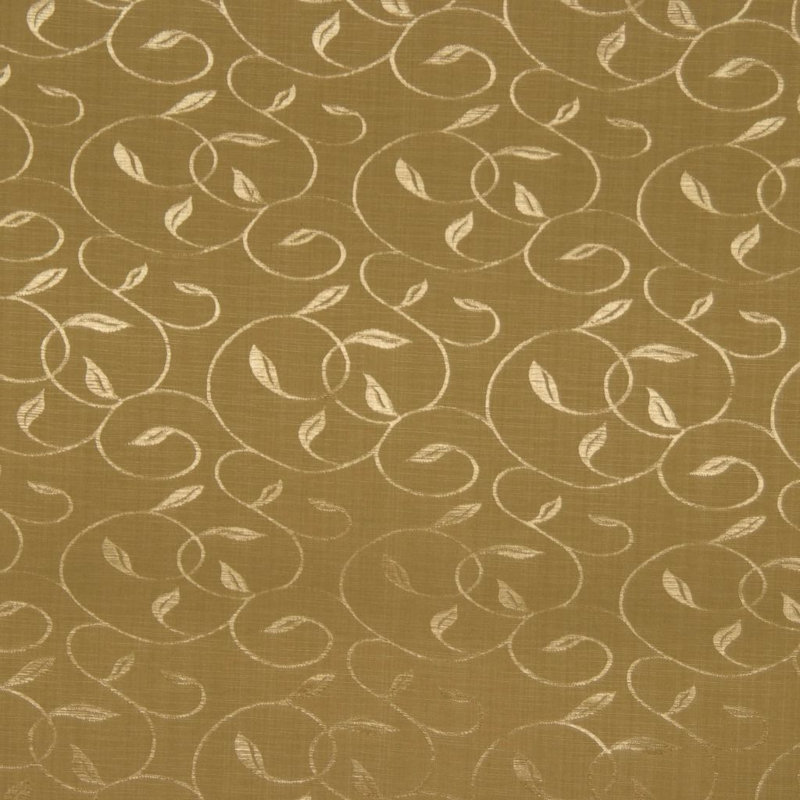 Tissu Mercedes, Mousse