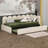 Twin Size Upholstered Daybed With Scallop-Shaped Guardrail And Pull-Out Bed, Velvet Sofa Bed, Metal Slatted Frame, Space-Saving Design-1239803461