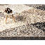Cedor Geometric Print Area Rug-386559909-386559905