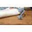 Tapis bleu en laine Joppatowne-1611382060