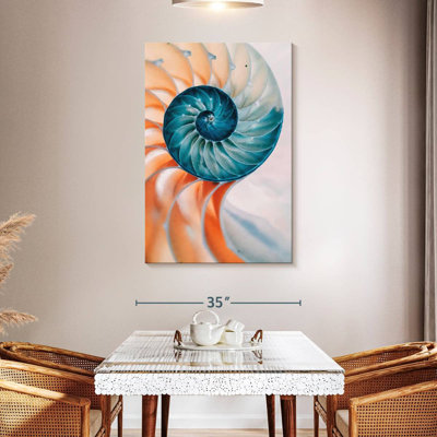 Coquille nautique translucide Brampt