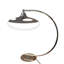 Duckworth 50cm Chrome Novelty Table Lamp