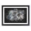 Thistle Flower - Picture Frame Graphic Art Print-56864298-56864304