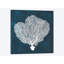 «Inverse Sea Fan I» par Grace Pop - impression sur toile tendue-32861673-72223855-72223856