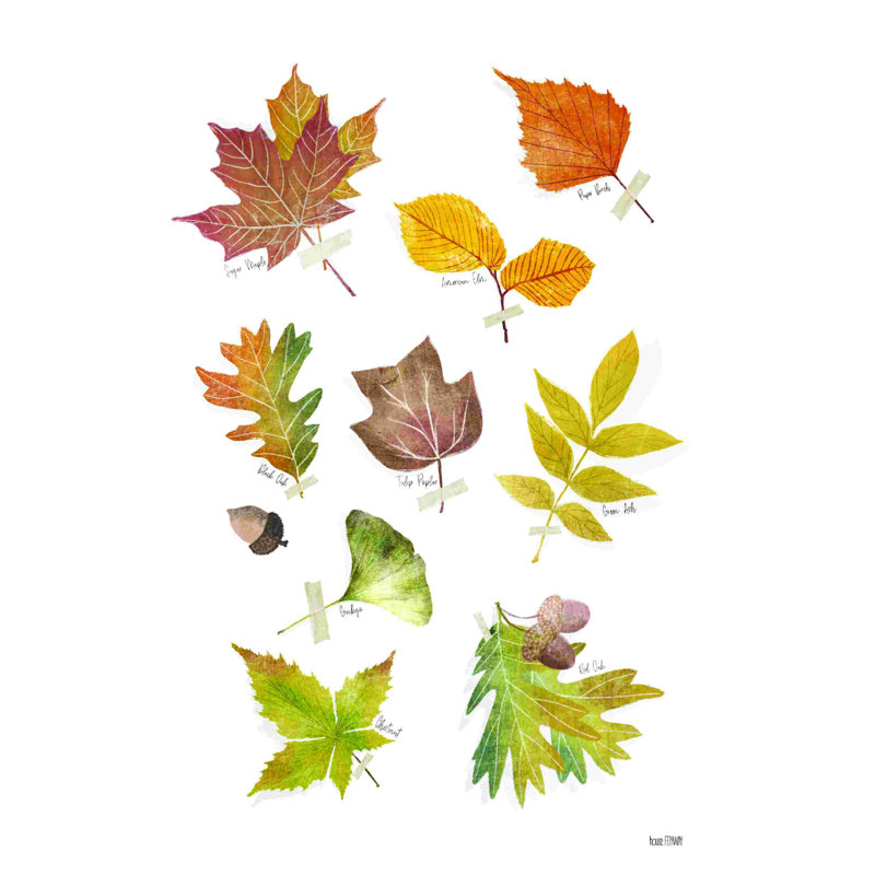 " Autumn Leaves " by House Fenway, 24" W x 36" H