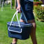 Panier pinique pliable-1343359725